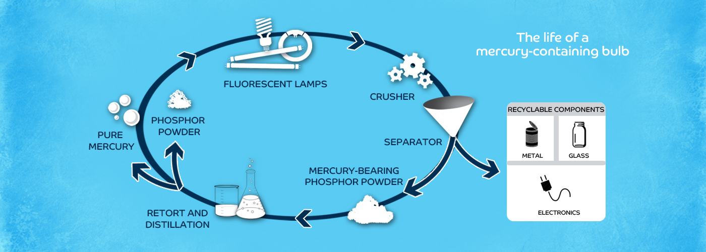 Recycle lights for free LightRecycle Washington